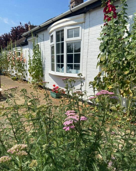 Field Cottage Whittlesey ภายนอก รูปภาพ